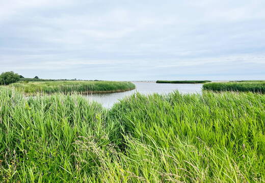 24-06-21 11-32-56 9746